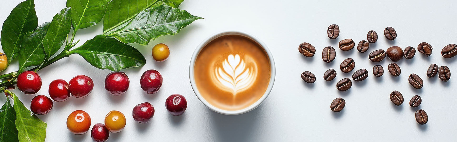 Cup of coffee with latte art, surrounded by coffee beans and cherry fruits on a white background