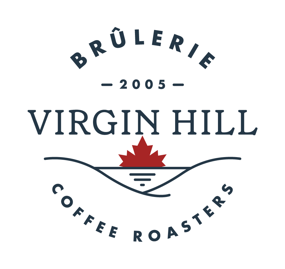 VH CAD Logo