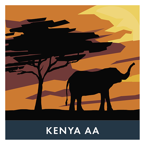 Kenya Variety Picture