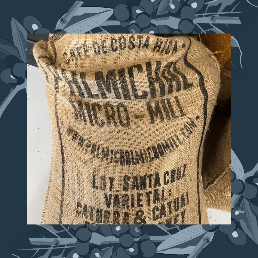 Costa Rica La Santa Cruz Micro-lot picture from Virgin Hill
