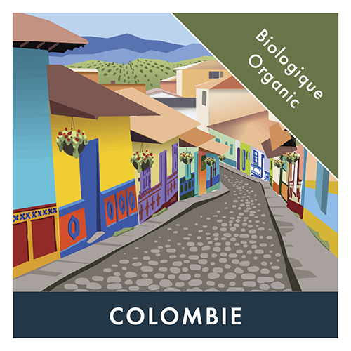 Colombie Organic Variety Picture