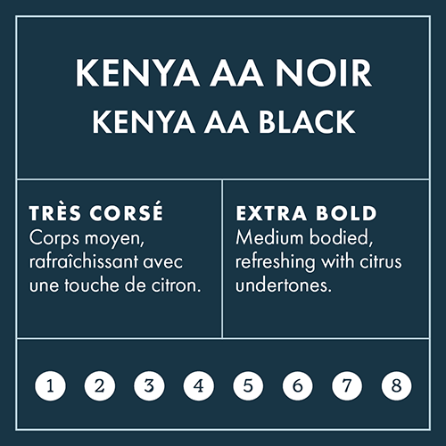 Kenya Black Intensity 8 on 8