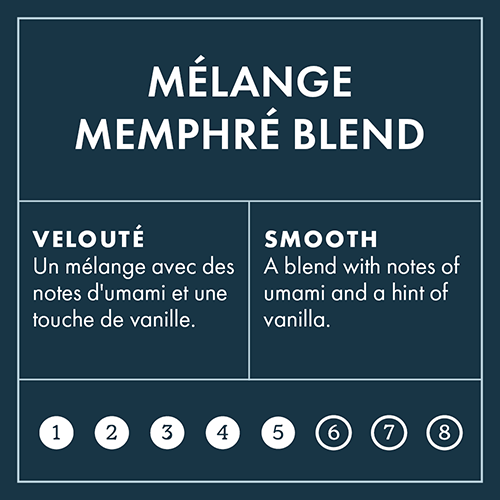 Memphre Intensity 5 on 8