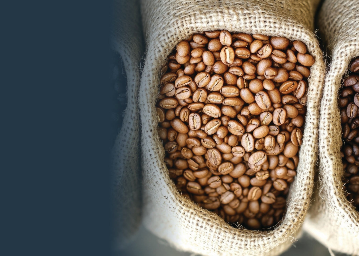 Single Origin Coffee vs. Coffee Blends: Virgin Hill's Complete Guide