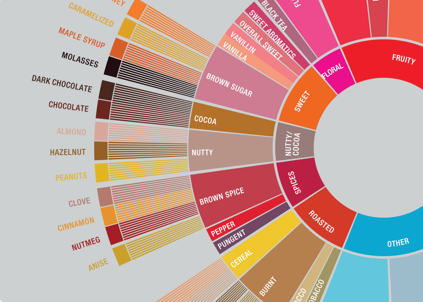 Coffee Tasting Notes Explained: What's Really in Your Coffee?