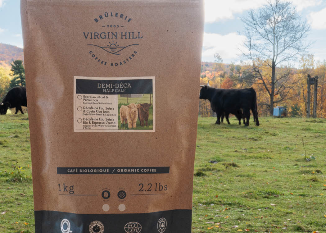 What Is Half Caff Coffee?