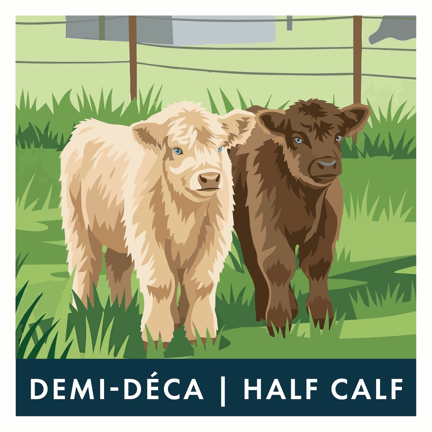 Illustrated product graphic showing two calves standing in a grassy field, with a dark blue banner at the bottom reading 'DEMI-DÉCA | HALF CALF'.