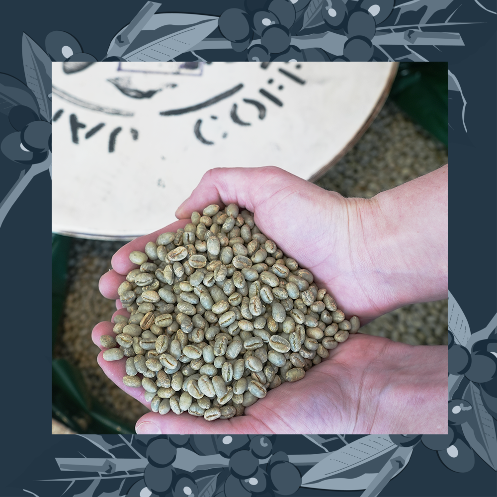 Microlot: Jamaïque Blue Mountain Peaberry