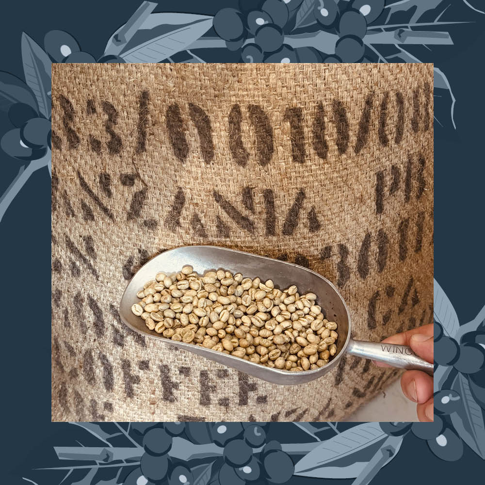Scoop of coffee beans held in front of a burlap coffee bag with decorative elements.
