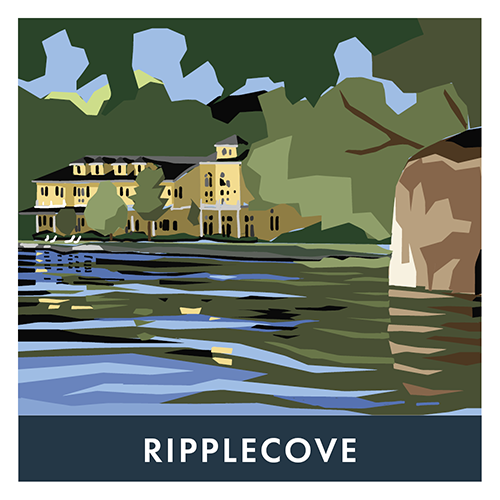 Ripplecove variety picture