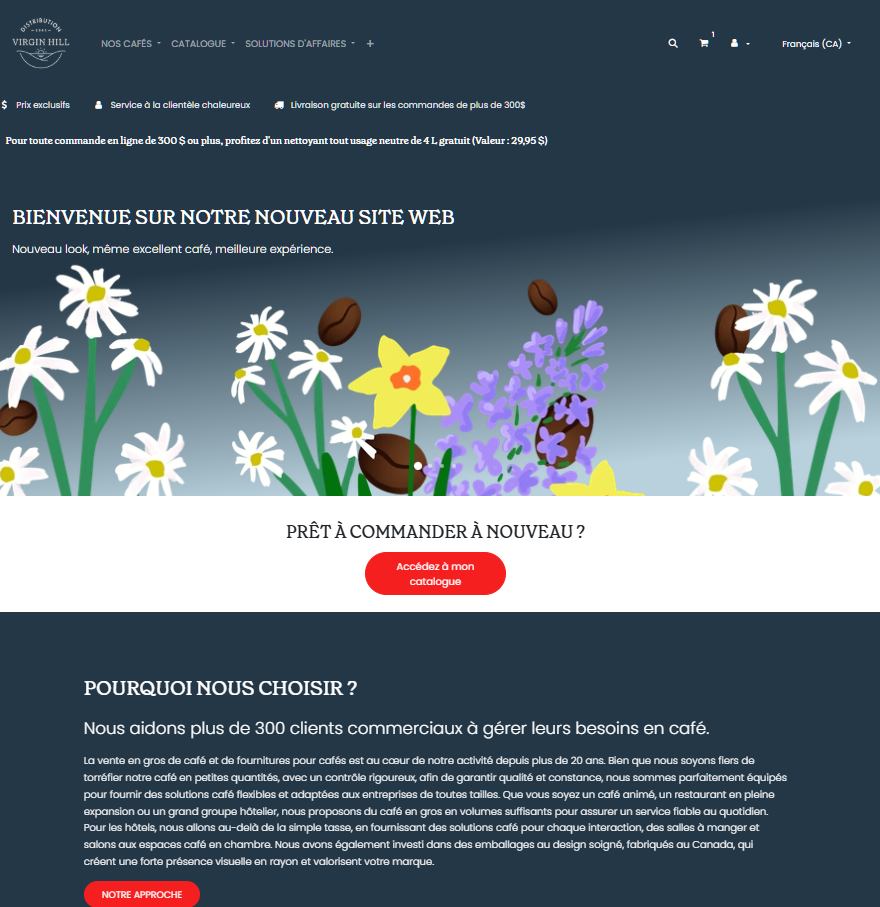 Screenshot of the new distributionvh.com website.