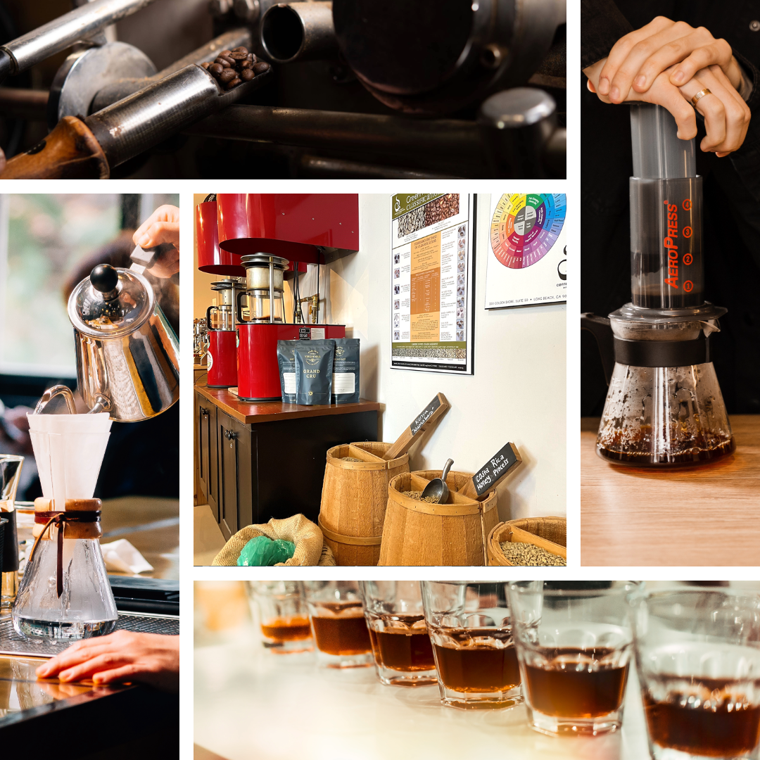 Experience Coffee Course