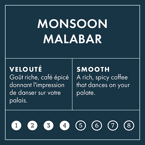 Monsoon Intensity 4 on 8