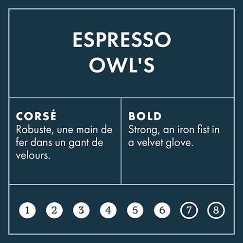 Espresso Owls Intensity