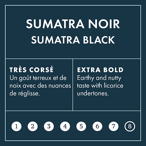 Sumatra Intensity 7 on 8